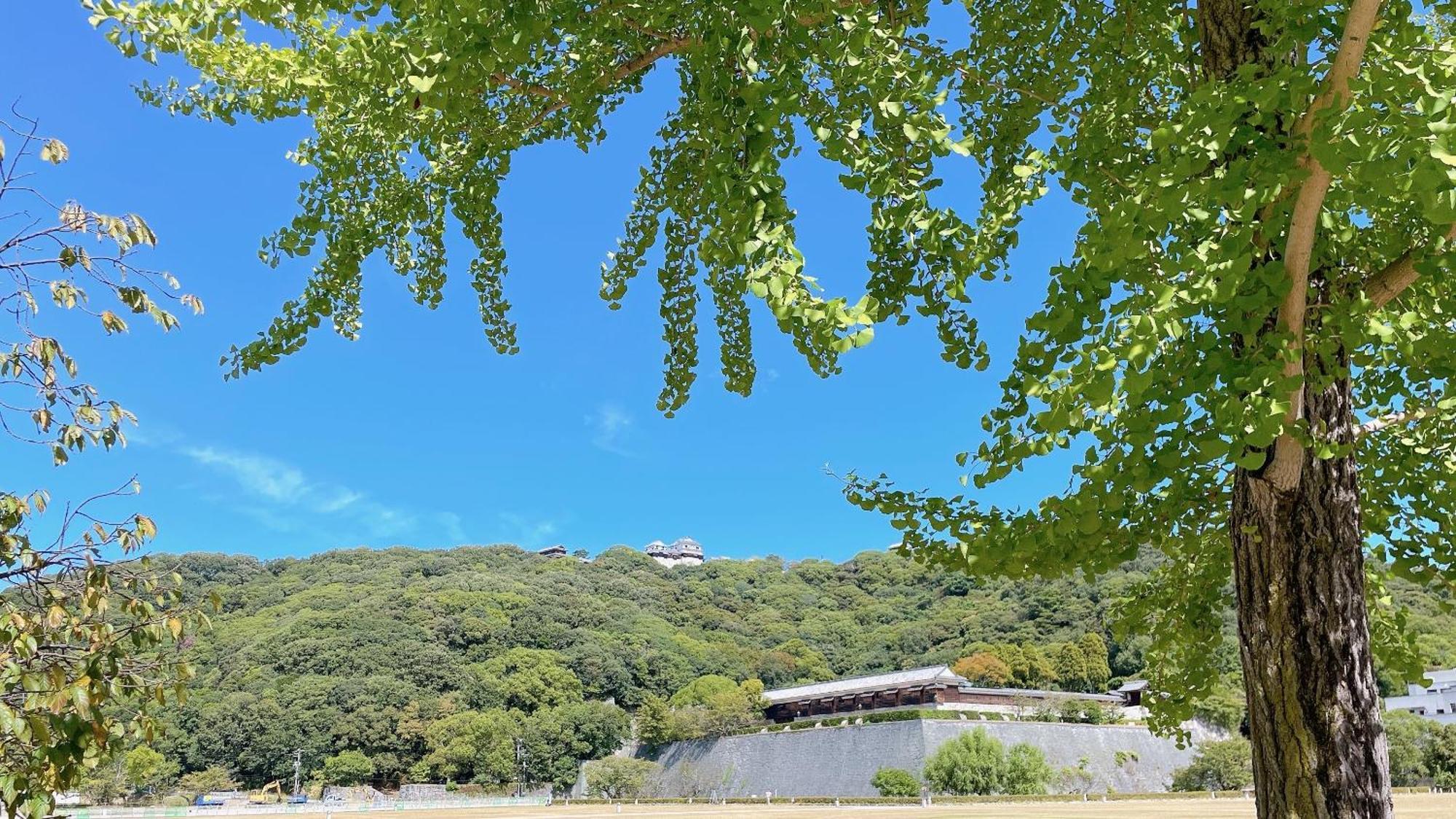 Ref Matsuyama City Station By Vessel Hotels Exteriör bild